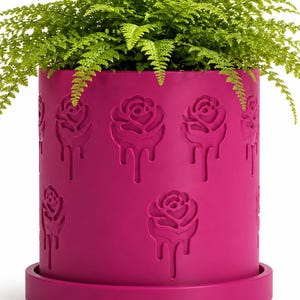May include: A magenta plant pot with a matching saucer, filled with a lush green fern. The pot features a repeating pattern of rose designs with a dripping effect. A stylish container for indoor plants.
