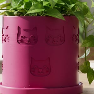 May include: A magenta plant pot with cat face designs, holding a green leafy plant. The pot sits on a matching saucer. The image is taken indoors on a wooden table. Other plants are visible in the background, with a window in view.