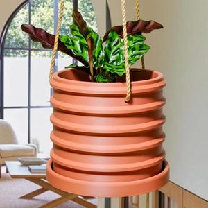 May include: A terracotta hanging planter with a ribbed design and a natural rope hanger. The planter is filled with a green plant with dark red leaves.