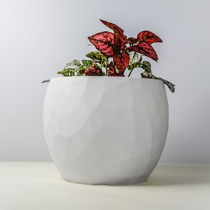 3D Printed Planter with Drainage, Shelf Decor, Voronoi Cylinder Planter, Unique Planter Gifts for Plant Lover, Houseplant Pot