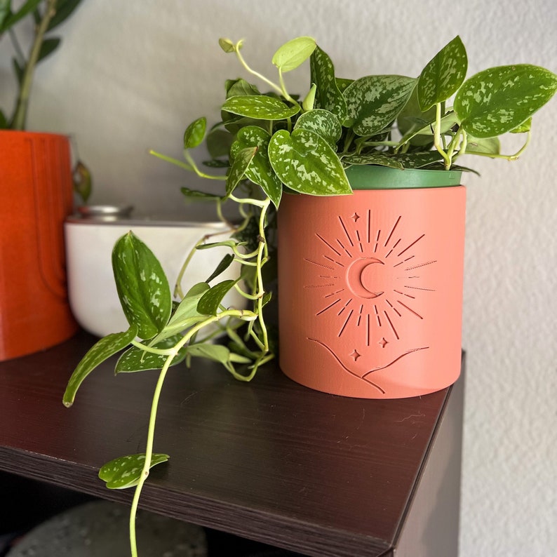 Op de afbeelding: Een plant in een pot met groene en witte bonte bladeren in een terracotta pot met een maan- en sterrenontwerp. De pot heeft een groene rand.