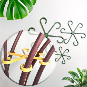 House Plant Stem Support, Garden Stakes, Plant Accessories for Philodendron, Alocasia, Monstera and More, 6 Pack in Multi Sizes