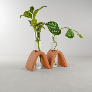 Può includere: Due provette di vetro trasparente con piante verdi a foglie sono inserite in un supporto in ceramica a forma di arco di colore terracotta. Il supporto ha un design ondulato.