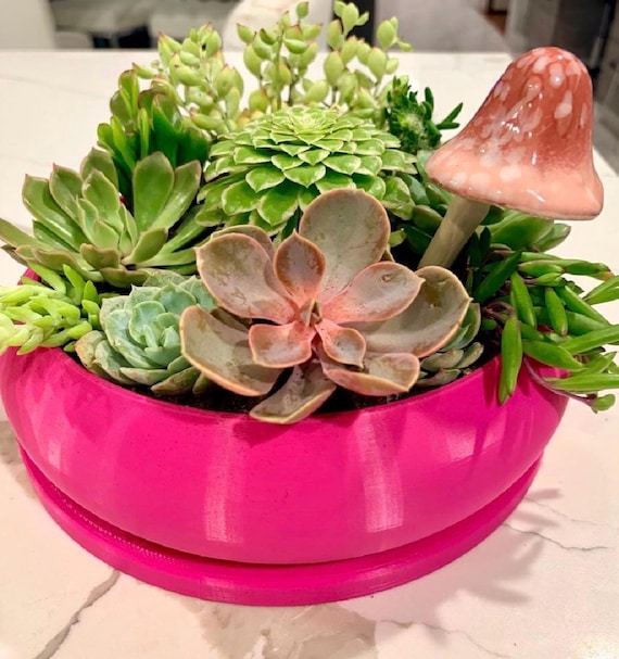 Einzigartiger Bubble-Pflanztopf, einringiger Pflanztopf mit Abfluss und Untersetzer, große, flache Pflanzschalen für Bonsai und Sukkulenten