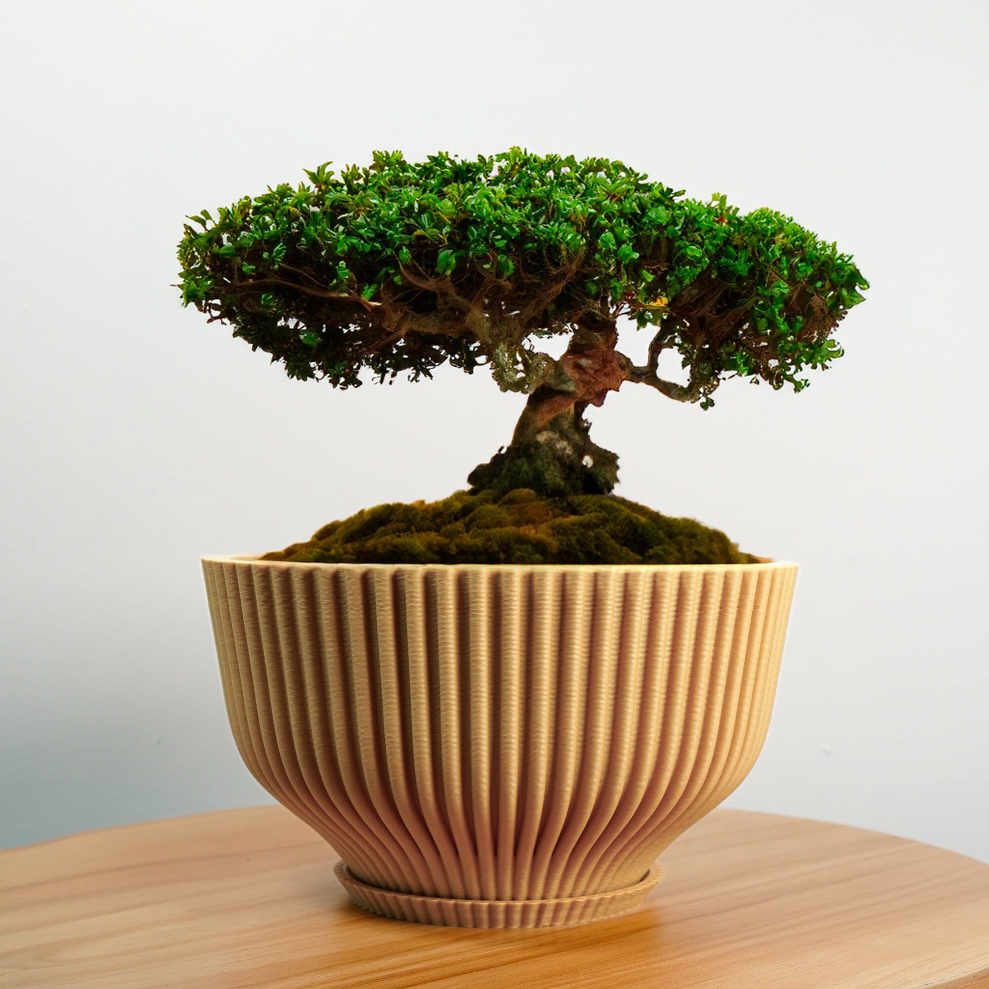 Lawei - Vaso in ceramica con sottovaso in bambù, 8 pezzi