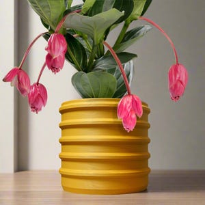 Modern Bubble Plant Pot in Matte Mustard, Crest Pots with Drainage and Saucer, Succulent and Cacti Planter, Lightweight