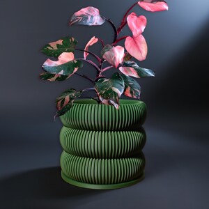 May include: A pink and green houseplant in a green, multi-tiered ceramic planter. The planter has a ribbed design.