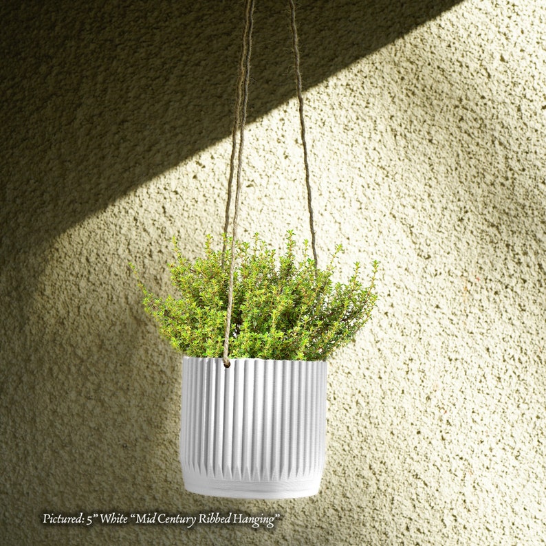 May include: A white ceramic hanging planter with a ribbed design, featuring a green plant inside. The planter is suspended from a natural twine rope. Pictured: 5" White "Mid Century Ribbed Hanging"