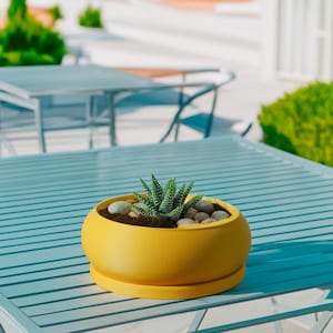 Peut inclure: Un pot en céramique jaune avec une plante succulente et de petites pierres décoratives. Le pot est posé sur une table bleue.