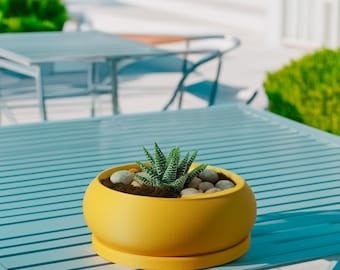Bubble Plant Pot Einzigartige, Einring-Blumentpfe mit Drainage und  Auffangschale Untersetzer, Groe flache Schssel-Pflanzgefe, Bonsai und