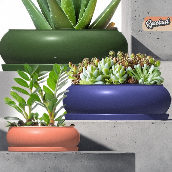 Bubble Plant Pot Unique, Single Ring Planter Pots With Drainage and Drip  Tray Saucer, Large Shallow Bowl Planters, Bonsai and Succulents - Etsy  Finland
