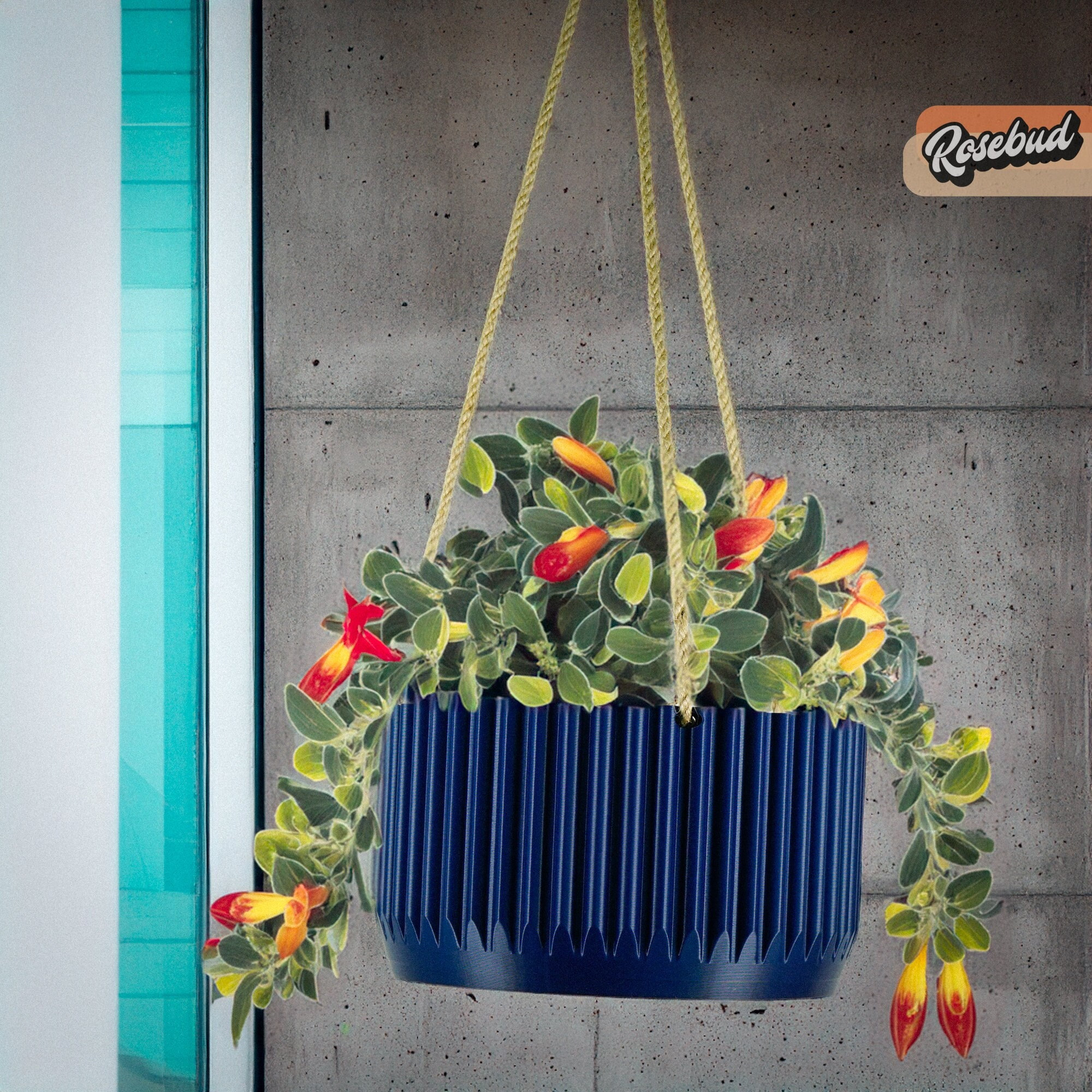 Multi Plant Pot - Etsy
