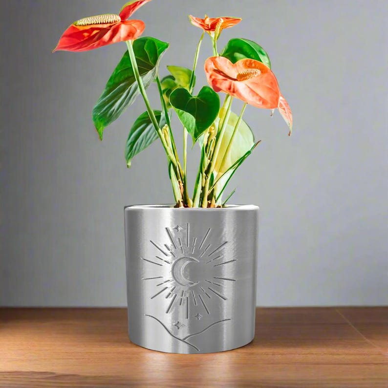 Op de afbeelding: Een zilveren plantenpot met een maan- en zonontwerp, met een kamerplant met oranje bloemen.