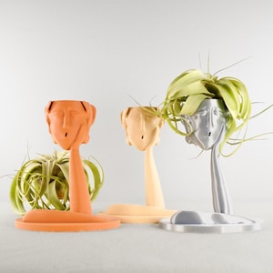 Head Face Planters, Face pot, Head Planters, Pots for Plants, Planters with Drainage, Air Plant Holder, Tilandisa