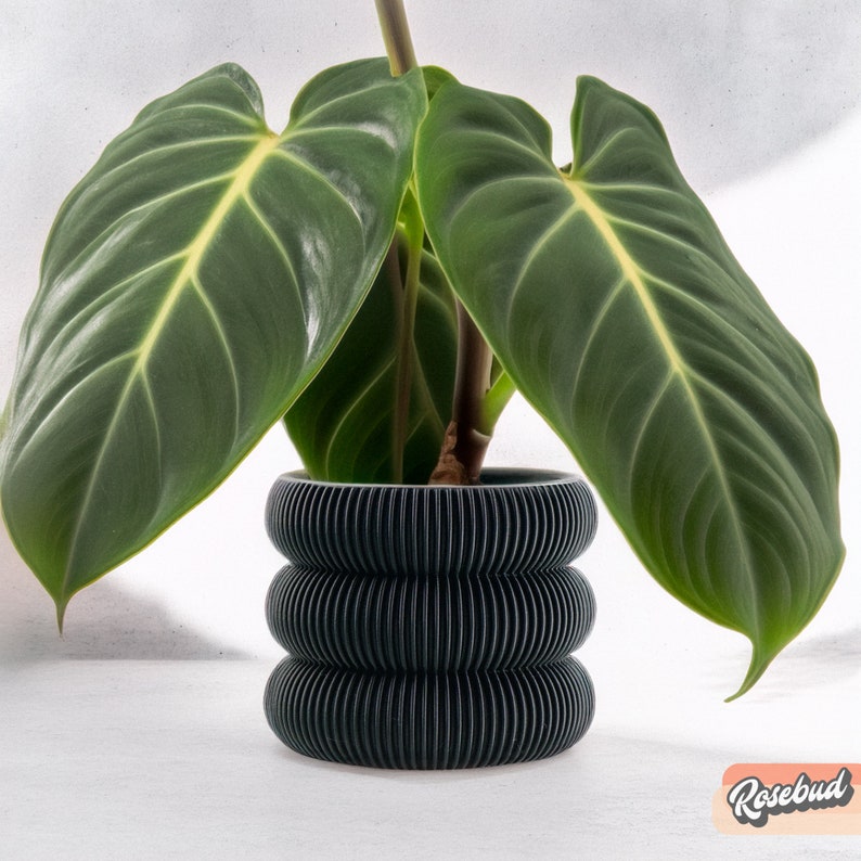 May include: A dark grey, textured, cylindrical planter with a plant with large, dark green leaves. The plant is a Philodendron Birkin.