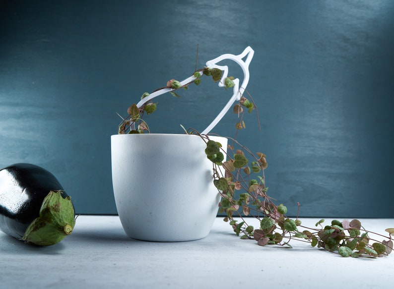 3D Eggplant Trellis for Indoor Plants Climbing Potted Etsy Australia