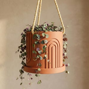 Pots de fleurs suspendus d'intérieur pour plantes, cadeau unique pour jardinière suspendue de 6 7 8 pouces, jardinière imprimée en 3D, décoration de terrasse extérieure, décoration Cottagecore, BOW