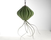 Air Plant Planter, 3D Printed Planter, Magnetic Hanging Pot, Upside Down Plant, Indoor Planter, Unique Jellyfish Decor