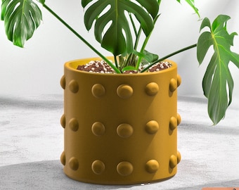 May include: A yellow planter with a textured, bumpy surface. The planter is filled with soil and a green monstera plant.