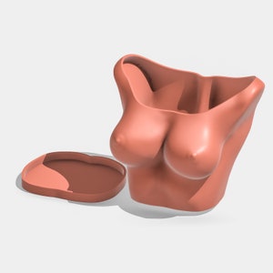 Female Body Planter, Boob Plant Pot, 3D Printed Planter Pot, Funny Anniversary Gift for Boyfriend, Unique Home Decor, Torso Planter