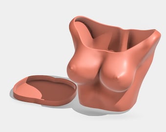 Female Body Planter, Boob Plant Pot, 3D Printed Planter Pot, Funny Anniversary Gift for Boyfriend, Unique Home Decor, Torso Planter
