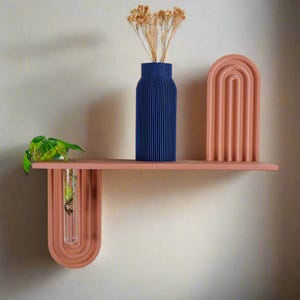 May include: A set of two pink wooden shelves with a unique curved design. The shelves are decorated with a blue vase with dried flowers and a glass test tube with a small plant.