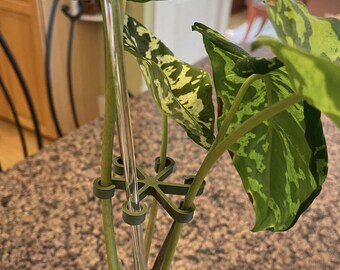 Wiederverwendbare Pflanzenstütze Aus Metall – 6 Stück, 3 Größen, Verstellbar 30–122 Cm – Für Tomaten, Ranken & Kletterpflanzen