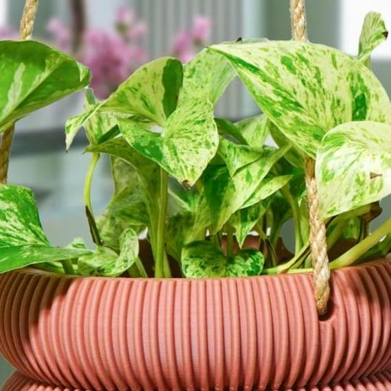 Hanging Planter for Plants With Attached Drip Tray, Indoor Outdoor Pot Unique Gift, Patio Decor, Cottagecore Decor, Entryway, Ribbed Bubble