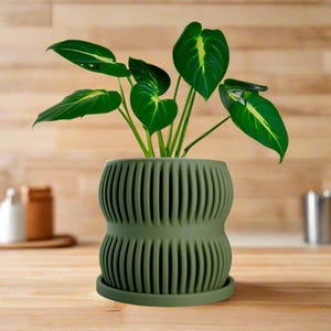 Puede incluir: Una maceta de cerámica verde con un diseño acanalado, que presenta una planta de interior con hojas grandes y verdes.