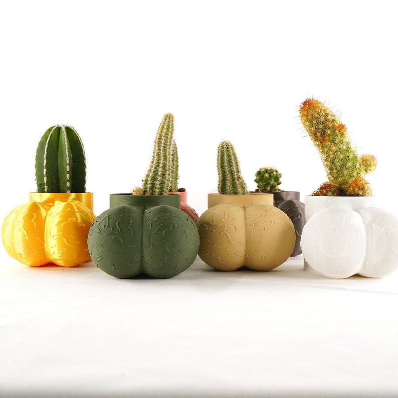 Cock Pot, Male Body Planter, 3D Printed Planter, Planters with Drainage, Housewarming Gag Gifts image 3