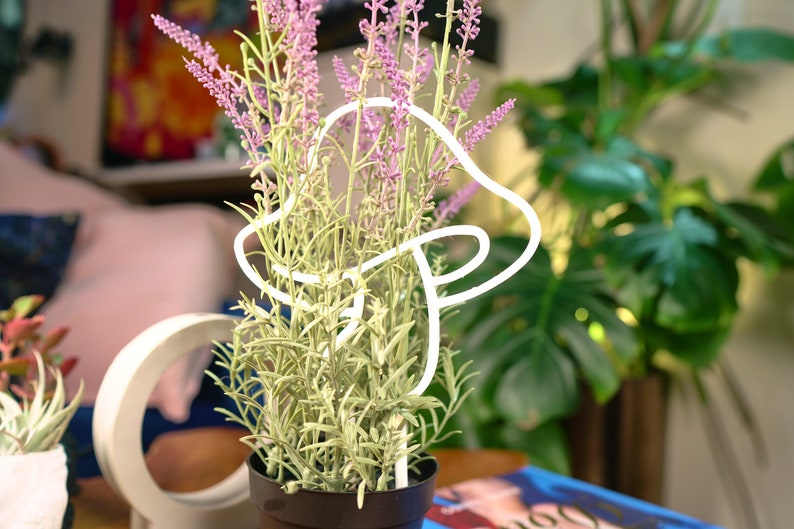 Peut inclure: Une sculpture lumineuse en forme de champignon en n&eacute;on blanc avec une plante de lavande dans un pot noir. La plante a des fleurs violettes et des feuilles vertes.