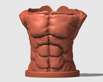 Masc Torso Plant Pot, 3D Printed Planter, Unique Queer Art, Male Abs Body Pot, Gifts for Them, Pots with Drainage and Saucer