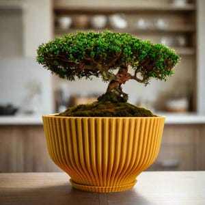 Succulent Planter Pot with Drainage and Saucer, Bonsai Planter Pot Unique, Cacti and House Plant Planter, Lightweight Wide Bowl