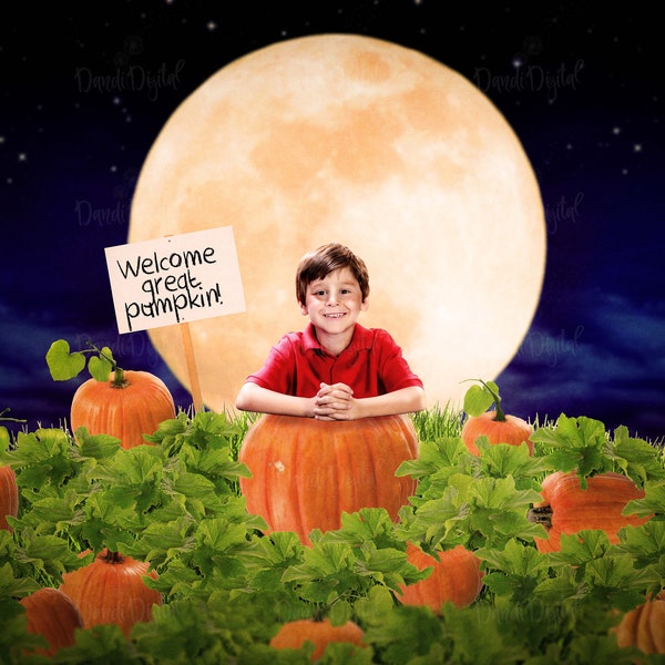 Background for Digital composites pumpkin Photography Backgrounds and Overlays Halloween Photography downloads