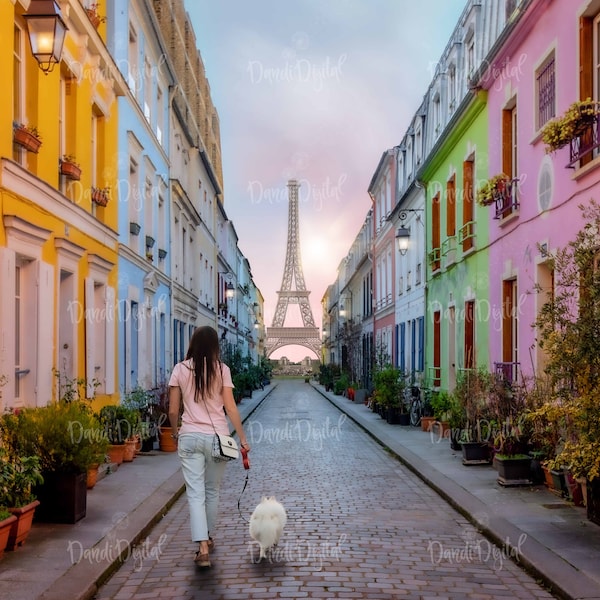 Paris Background for Digital Composites Paris Photography Backgrounds Overlays Photography Paris  Eiffel Tower France image download