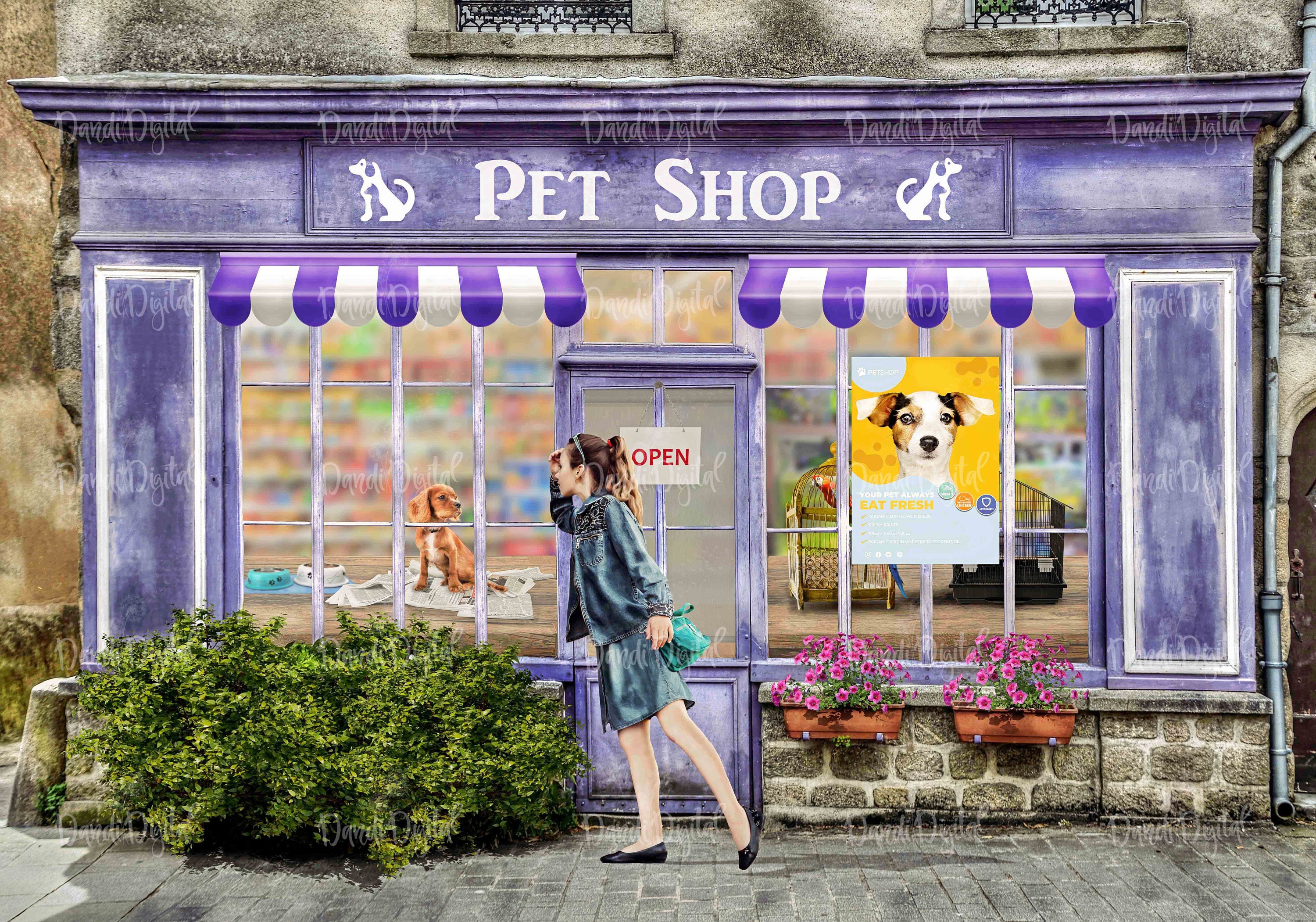 pet-shop-background-for-digital-composites-photography-etsy