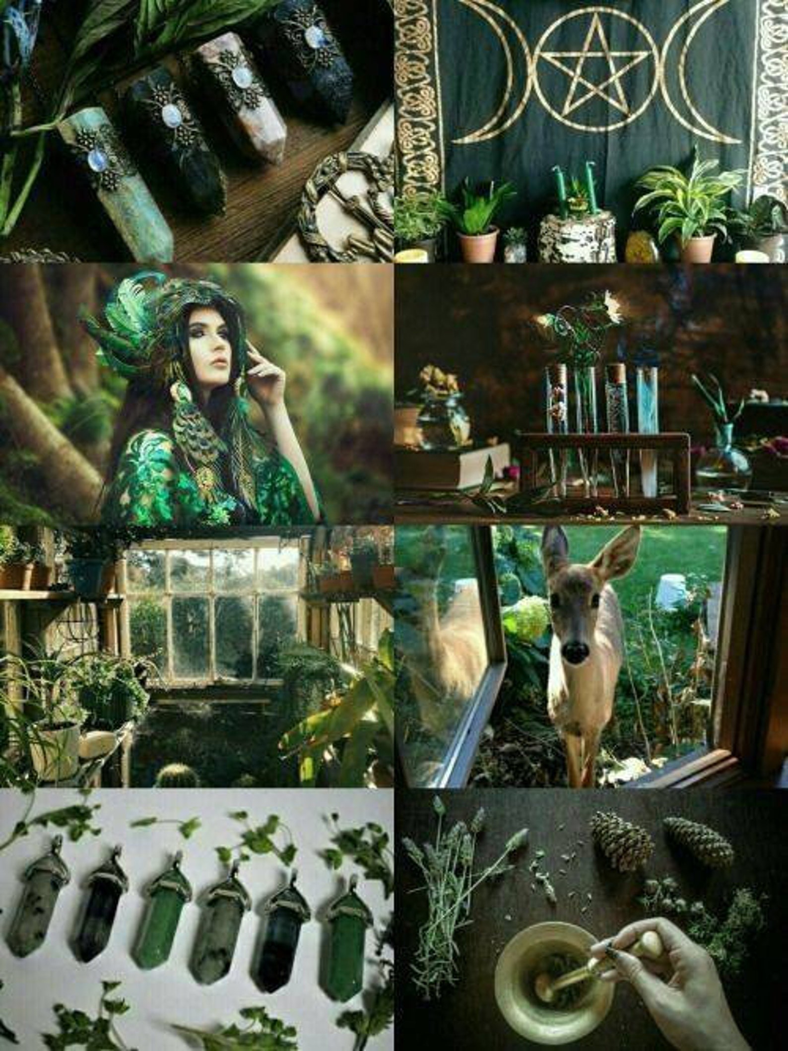 MYSTERY BOX witch aesthetic GREEN witch witchcraft tools & | Etsy
