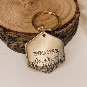 Explore More | Hexagon Shaped Forest and Mountain Pet ID Tag