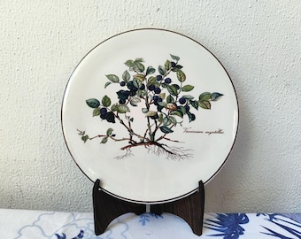 May include: A white ceramic plate with a botanical illustration of a blueberry plant, featuring green leaves and dark blue berries. The plate has a brown rim and is displayed on a dark wooden stand. The text "Vaccinium myrtillus" is printed on the plate.