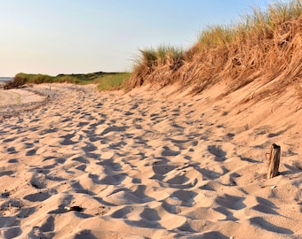 Cape Cod Strand Foto/Leinwand Druck