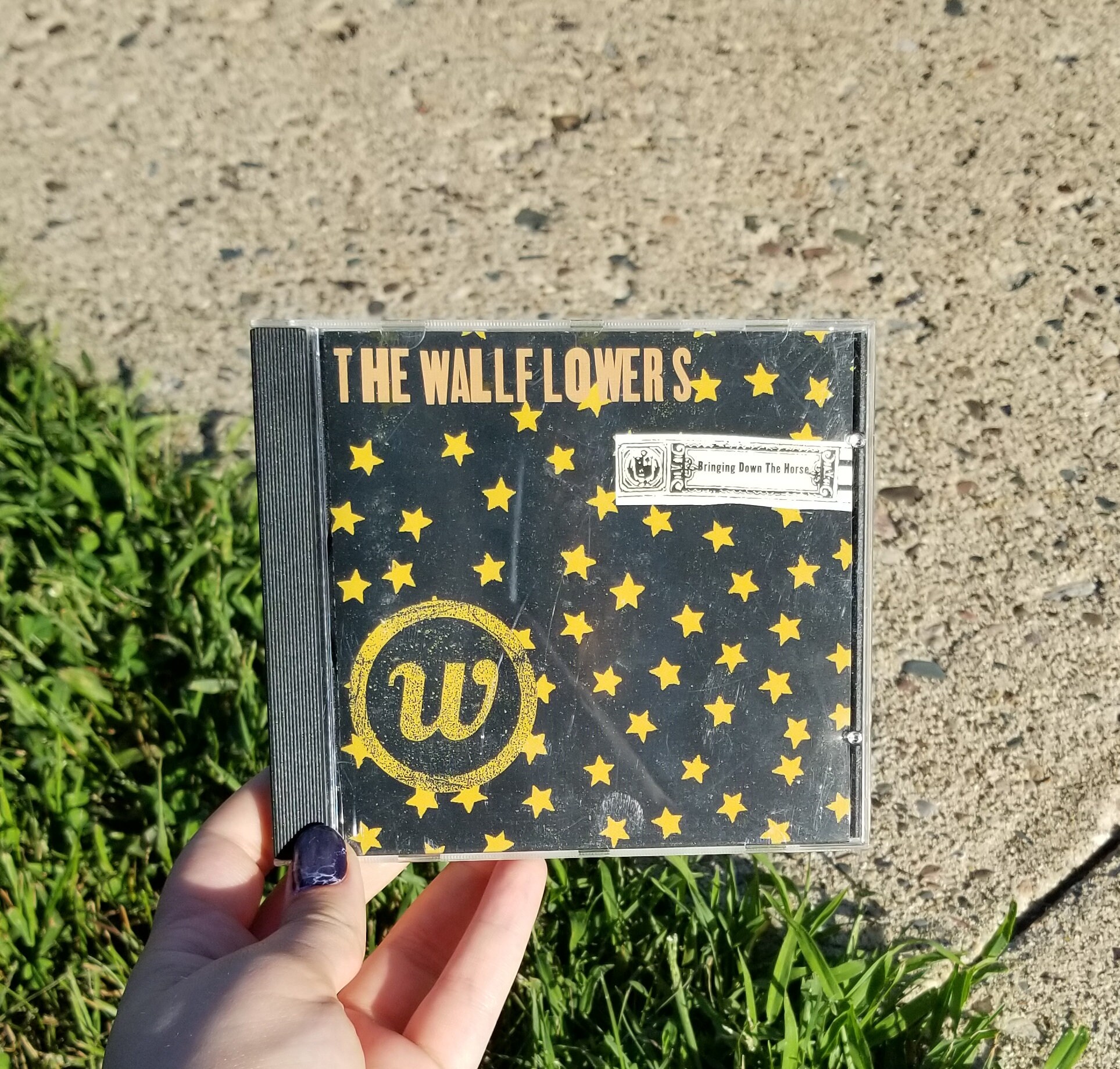 The Wallflowers Bringing Down the Horse 1996 Album CD Etsy