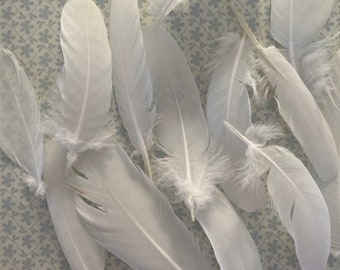 DOVE Feathers. White.  Weddings//Steampunk/ Accessories. Medium size pack 8