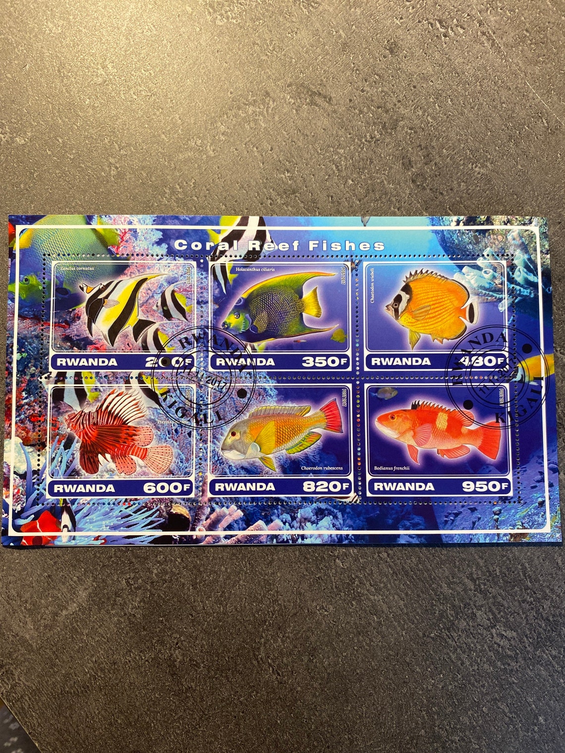 All about fish... Postage stamp mini sheets Etsy