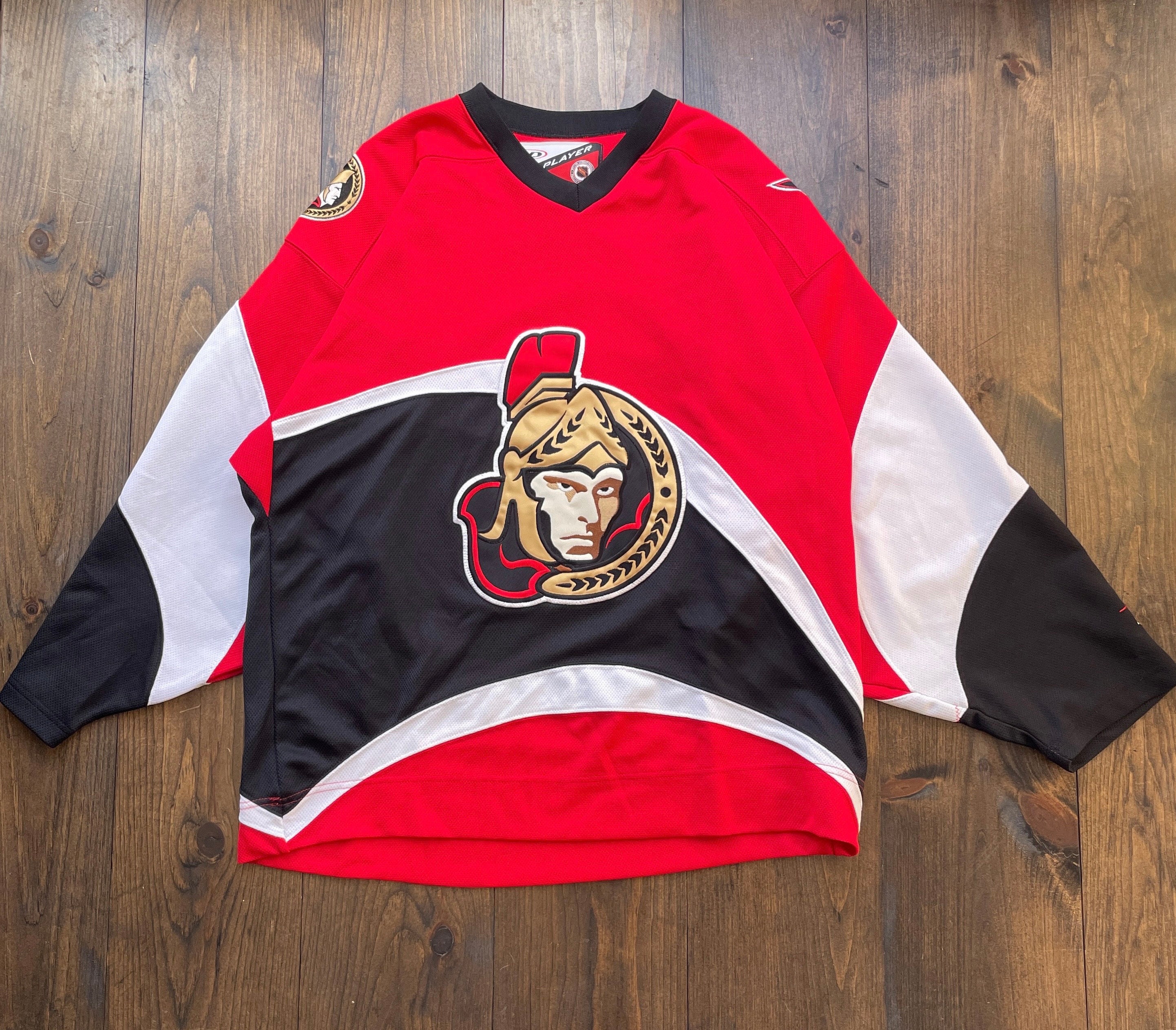 90's Ottawa Senators Starter NHL T Shirt Size XL – Rare VNTG