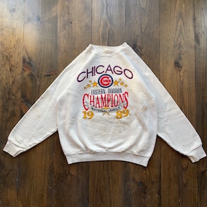 Champion sweater cheap pastel americano