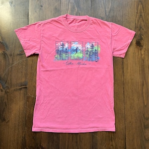Vintage 1990er Jahre Sitka Alaska Reise Souvenir Berge Wilderness Wald Outdoors Graphic Shirt / siehe Maße für die Größe