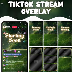 TikTok Stream Overlay Green Witch Tiktok Fantasy Stream Overlay Green Vertical Overlay TikTok Live cozy forest overlay witch asset green