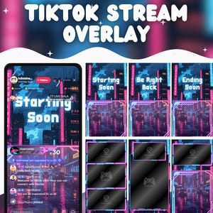TikTok Stream Overlay Purple Cyberpunk Tiktok Lofi Stream Overlay Purple Vertical Overlay TikTok Live Overlay Skies Cyber Punk Cool Neon