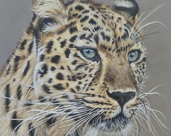 Original Leopard Drawing, Realistic Coloured Pencil Art, Big Cat Fine Art Portrait, Wildlife OOAK Artwork, Pastelmat Original