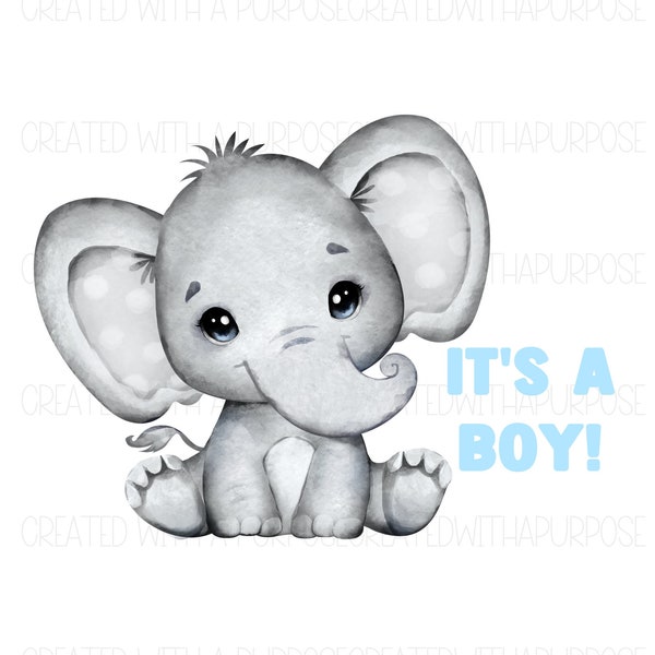 It's A Boy Png, Elephant Sublimation Design, Gender Reveal, Baby Elephant Png, Baby Shower, Shirt Designs, Pregnancy Announcement, Png File